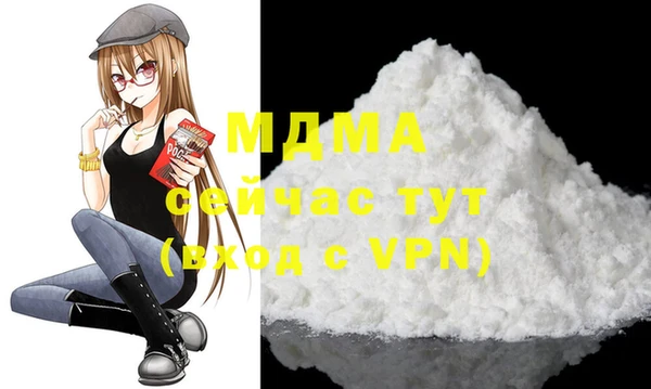 хмурый Арсеньев