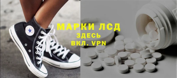 хмурый Арсеньев