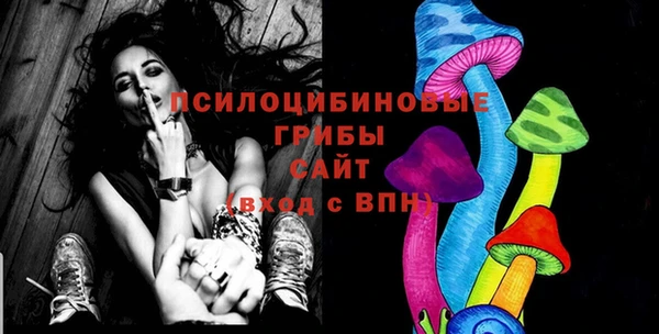 эйфоретик Аркадак