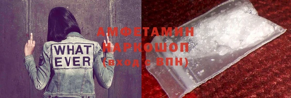 хмурый Арсеньев