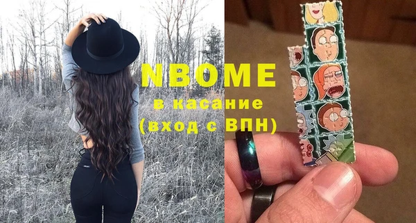 хмурый Арсеньев