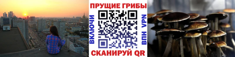 где продают наркотики  Колпашево  Псилоцибиновые грибы Psilocybe 